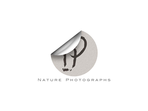 Logo Design by Mike Chawner