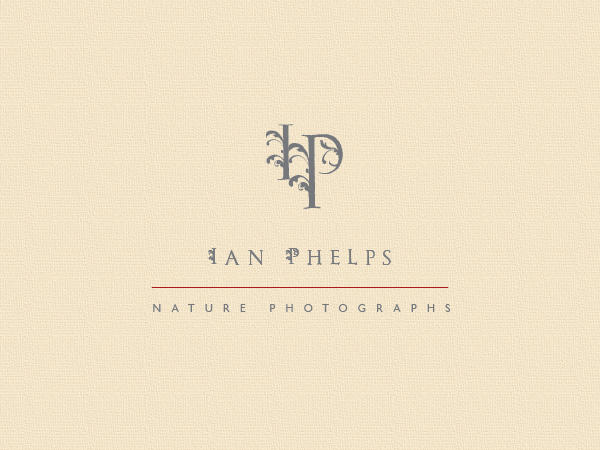 Diseño de Logo por BrandGirl para este proyecto | Diseño #1448496