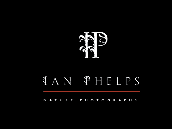 Diseño de Logo por BrandGirl para este proyecto | Diseño #1448498