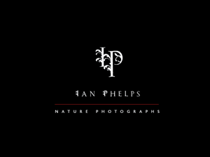 Diseño de Logo por BrandGirl para este proyecto | Diseño: #1448499