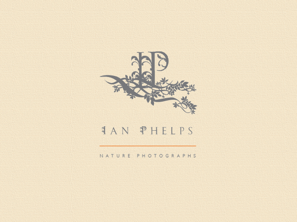 Diseño de Logo por BrandGirl para este proyecto | Diseño #1450768