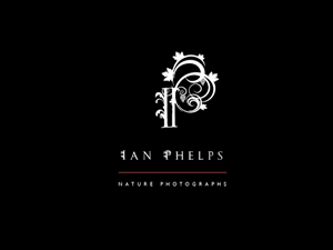 Diseño de Logo por BrandGirl para este proyecto | Diseño: #1450771