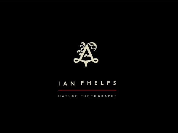 Diseño de Logo por BrandGirl para este proyecto | Diseño #1459105