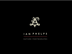 Diseño de Logo por BrandGirl para este proyecto | Diseño: #1459105
