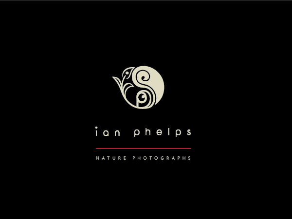 Diseño de Logo por BrandGirl para este proyecto | Diseño #1459122