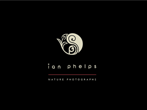 Diseño de Logo por BrandGirl para este proyecto | Diseño: #1459122