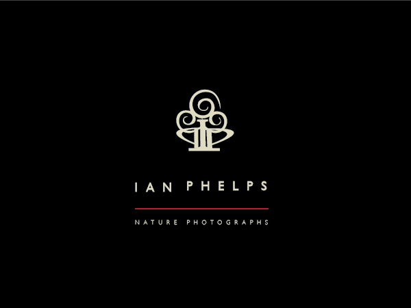 Diseño de Logo por BrandGirl para este proyecto | Diseño #1459127