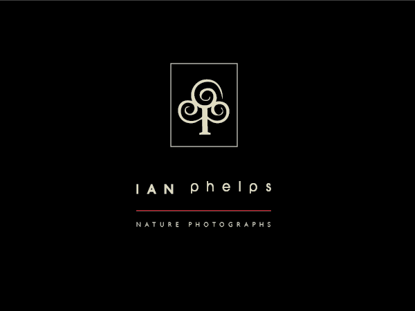 Diseño de Logo por BrandGirl para este proyecto | Diseño #1459140