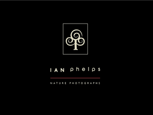 Diseño de Logo por BrandGirl para este proyecto | Diseño: #1459140