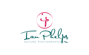 Logo Design by GORILAZ for this project | Design: #1447059