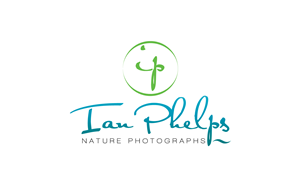 Logo Design by GORILAZ for this project | Design: #1447062