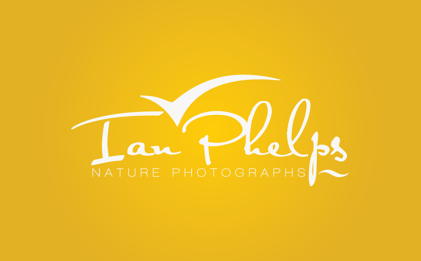 Logo-Design von GORILAZ für dieses Projekt | Design #1447112