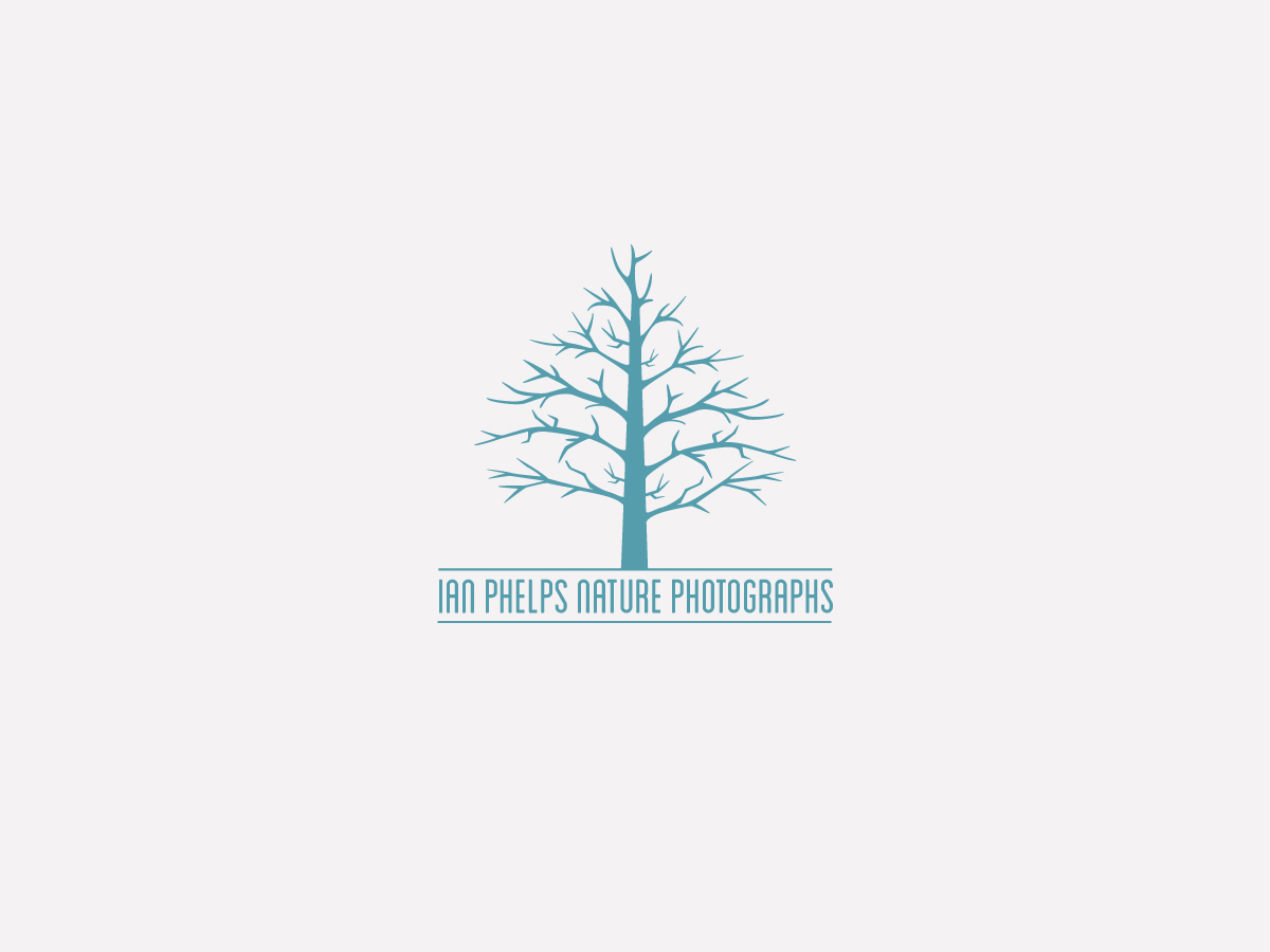 Logo Design by tapstudio for this project | Design #1447322
