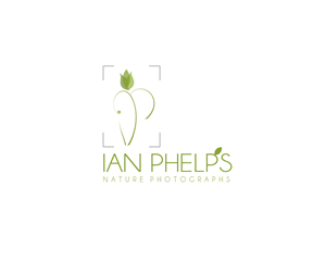 Logo Design by Lovely Claire
