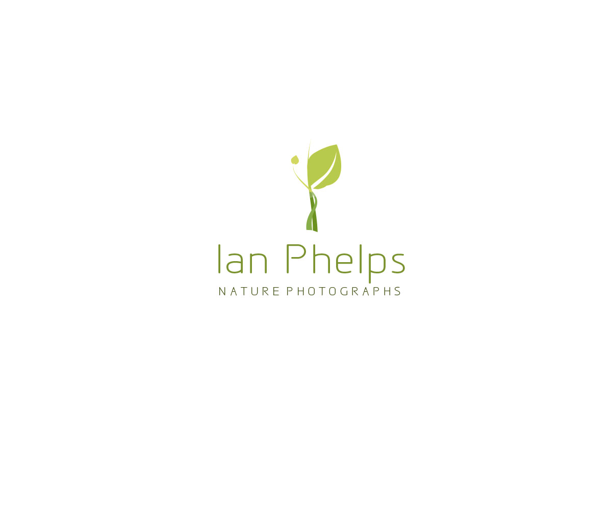 Logo Design by Lovely Claire for this project | Design #1443049