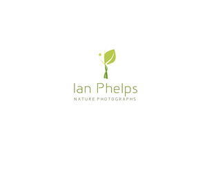 Diseño de Logo por Lovely Claire para este proyecto | Diseño: #1443049