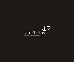 Diseño de Logo por saiTEJAS para este proyecto | Diseño: #1452637