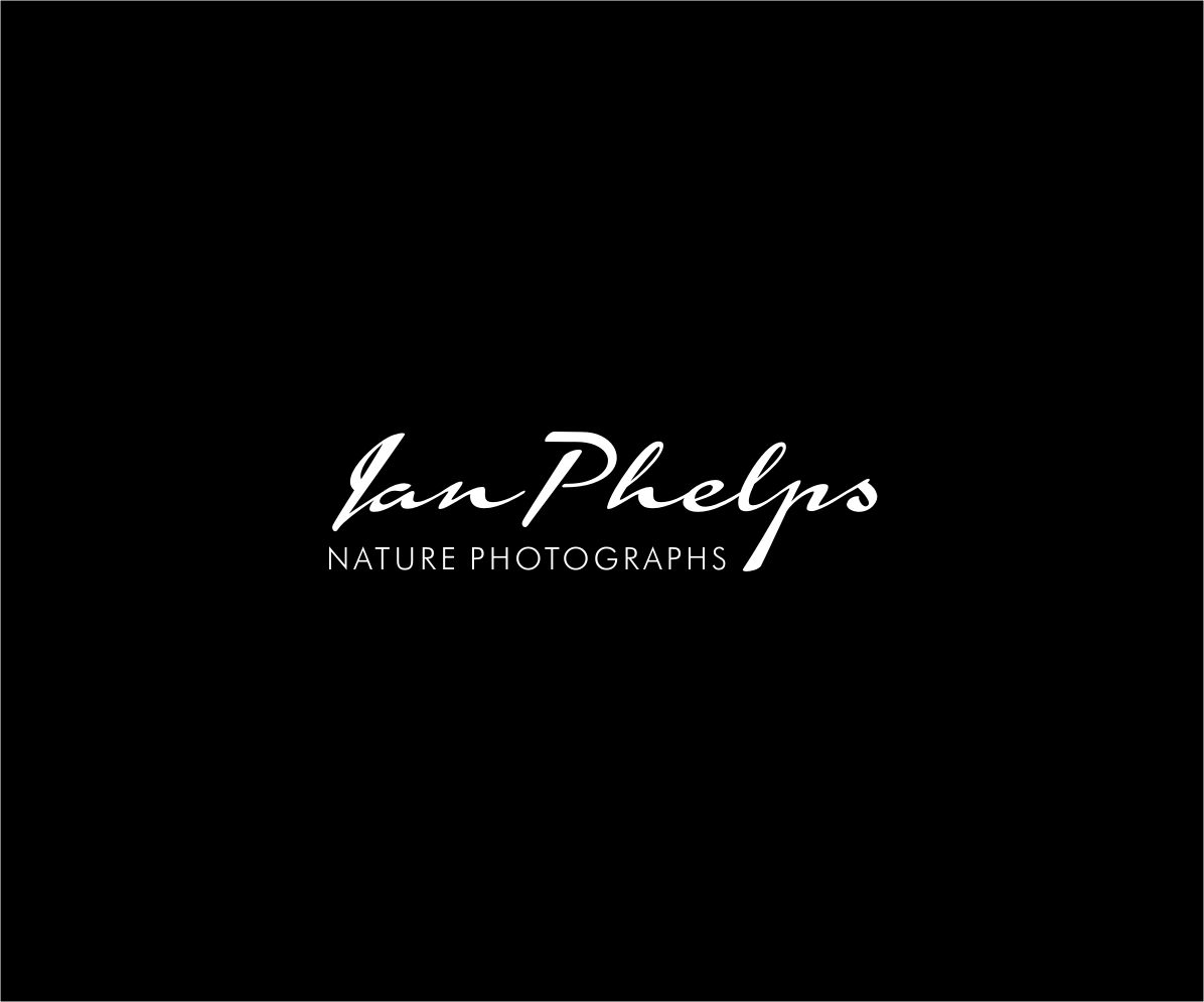 Diseño de Logo por saiTEJAS para este proyecto | Diseño #1455487