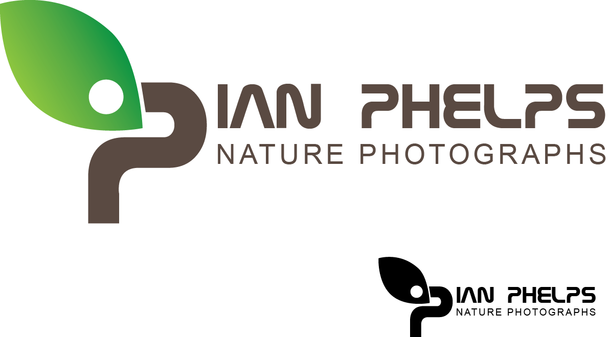 Diseño de Logo por Bolshoi Creations para este proyecto | Diseño #1436217
