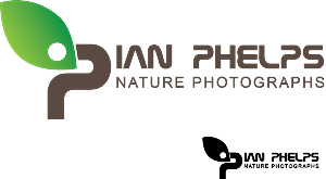 Diseño de Logo por Bolshoi Creations para este proyecto | Diseño: #1436217