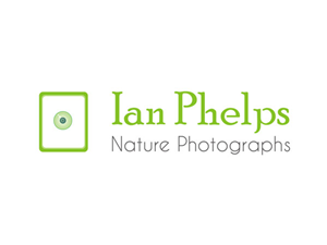 Logo Design by create