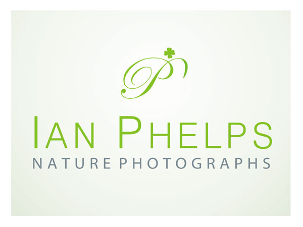 Logo-Design von create für dieses Projekt | Design #1447230