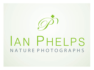 Logo Design by create for this project | Design: #1447230
