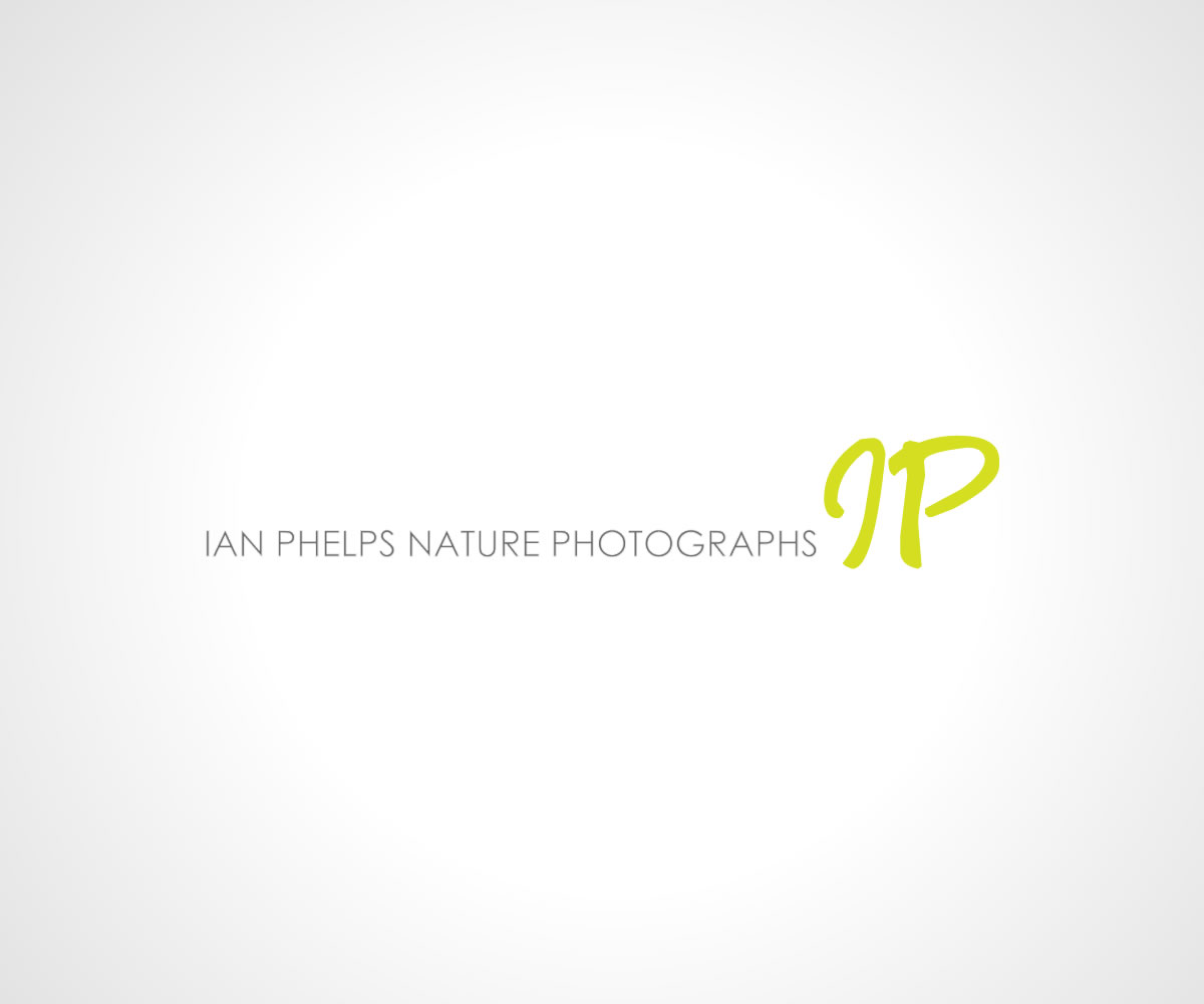 Design de Logo par Matt Hall pour ce projet | Design #1432391
