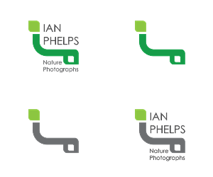 Logo Design by ck