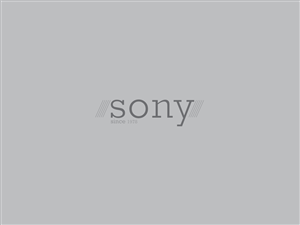 Logo Design by Rijan Hamidovic for DesignCrowd LLC | Design: #5128029