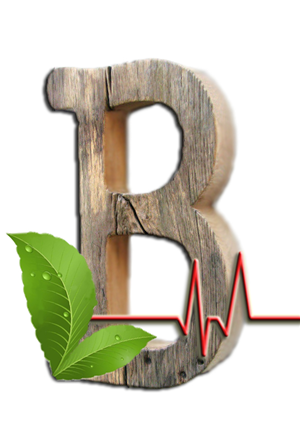 Logo Design by J.Raido