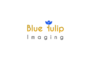 Logo Design by Natan