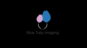 Logo Design by Paul Hauner