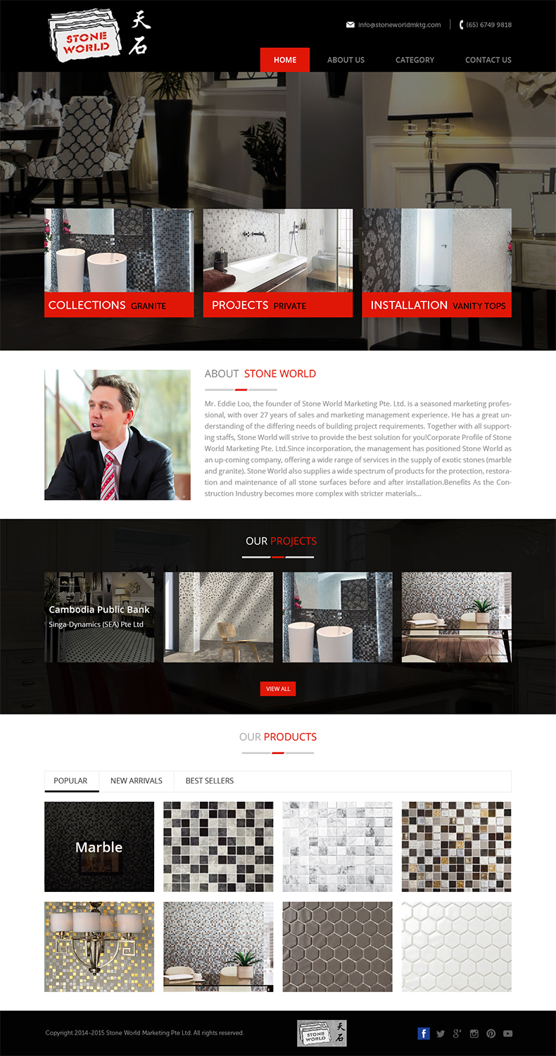 Wordpress Design by Creative Usha for this project | Design #5103684