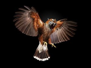 Illustration design by MadameThenadier for a business in United States