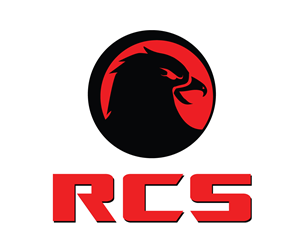 Logo Design by borzoid