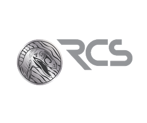 Logo Design by JakeCreation for Raptzor Computer Sciences, LLC | Design: #5106285