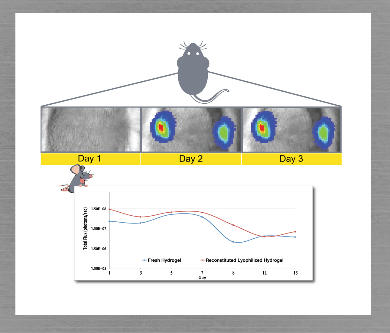 Diseño Con Ilustración por uk para este proyecto | Diseño #5159727