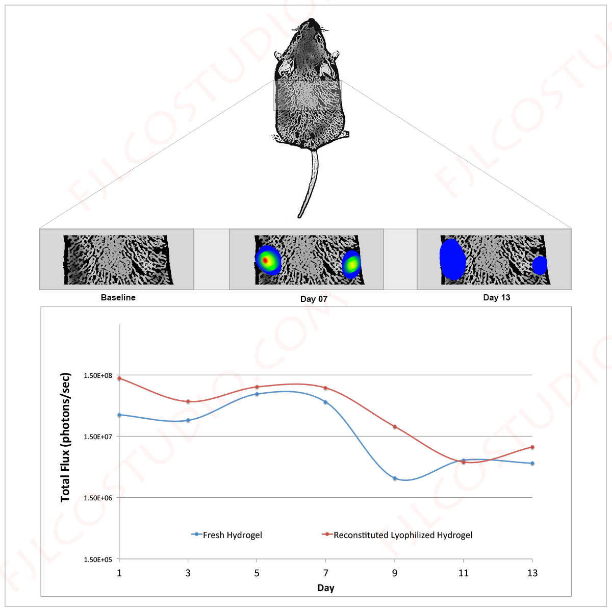 Diseño Con Ilustración por fernanlagran para este proyecto | Diseño #5263569