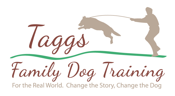 Logo Design by wmcool for ATCHER SERVICE LLC | Design #5090865