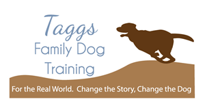 Logo Design by wmcool for ATCHER SERVICE LLC | Design: #5090934