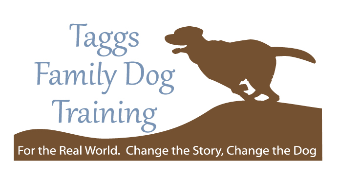 Logo Design by wmcool for ATCHER SERVICE LLC | Design #5090940