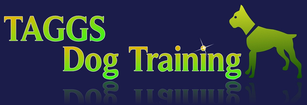 Logo Design by Hs50 for ATCHER SERVICE LLC | Design #5088493