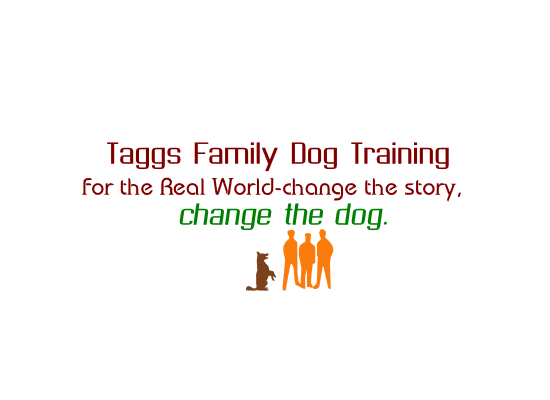 Logo Design by axel.ampar for ATCHER SERVICE LLC | Design #5087211