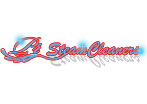 Logo Design by KaselGraphics