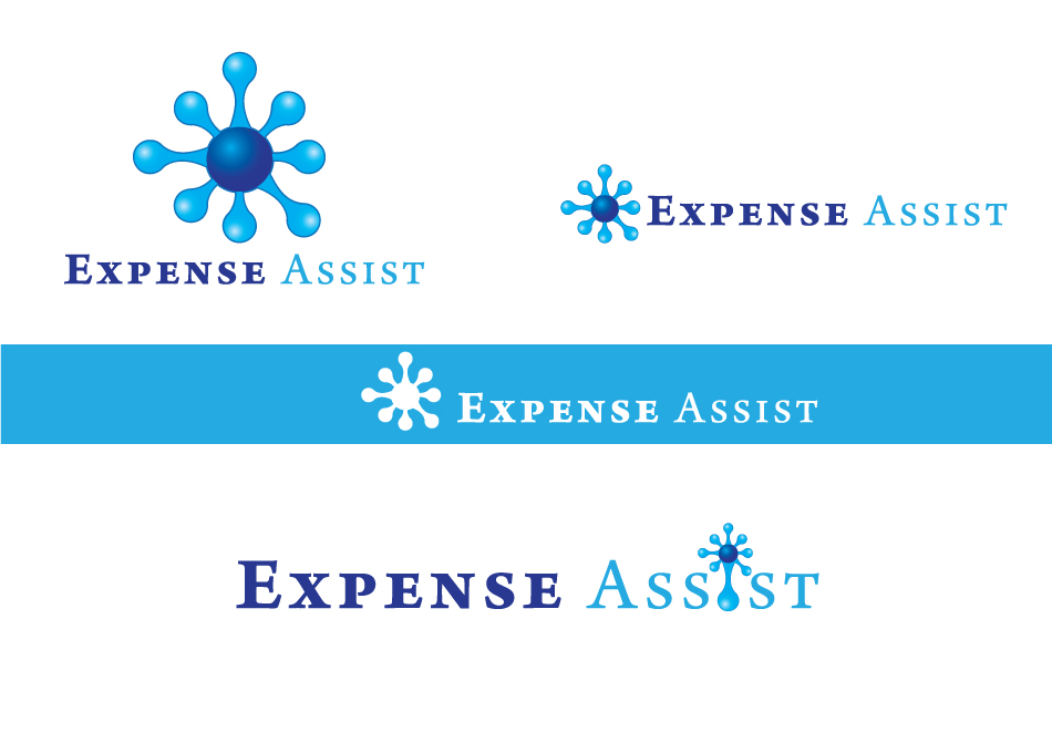 Logo Design by Bling Connect Ink for this project | Design #1476062