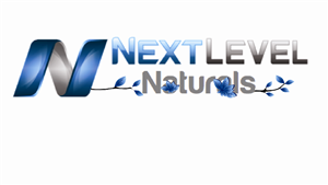 Logo Design by anshuman illustrations