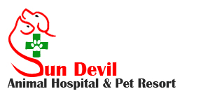 Logo Design by Mical for smallBUSINESSAZ.com LLC | Design #5267924