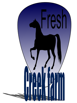 Logo Design by persannoir