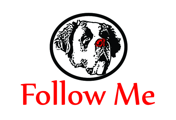 Logo-Design von wmcool für dieses Projekt | Design #5117994